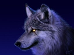 Wolf7115
