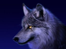 wolfear